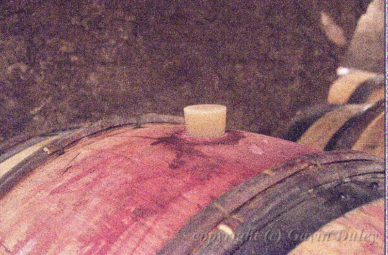 Wine in barrel, Remoissenet's cellar, Beaune IMGP2184.jpg